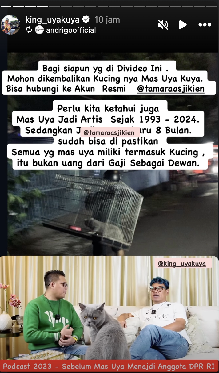 kucing uya